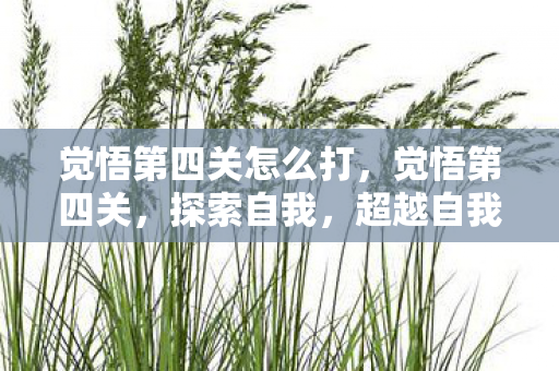 觉悟第四关怎么打图片