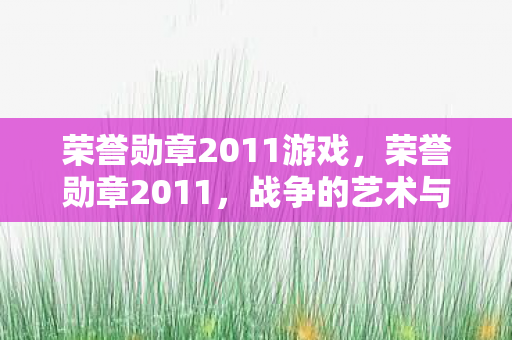 荣誉勋章2011游戏图片