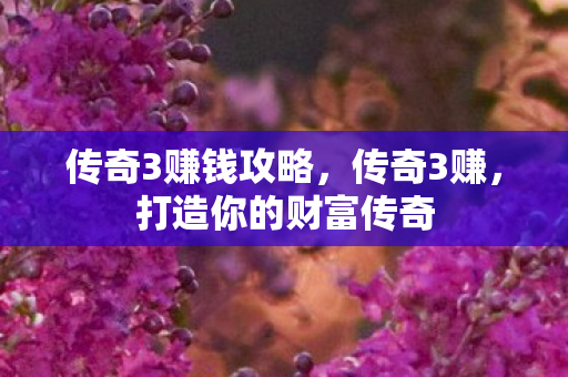 打造你的财富传奇图片