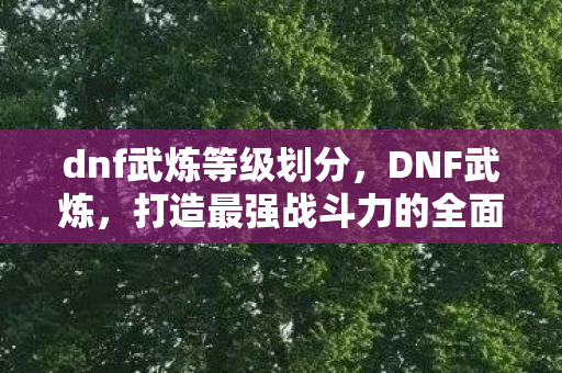 打造最强战斗力的全面指南图片