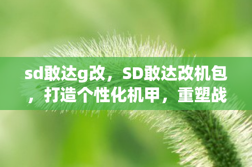 SD敢达改机包图片