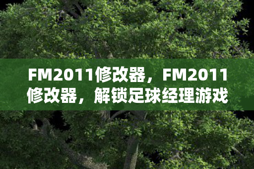 解锁足球经理游戏的新境界图片