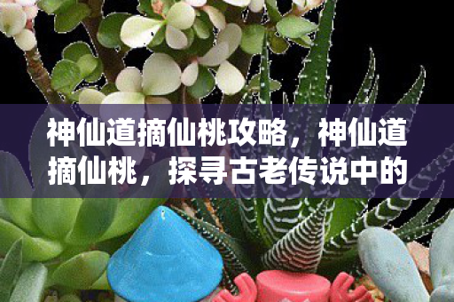 探寻古老传说中的神秘仙境图片