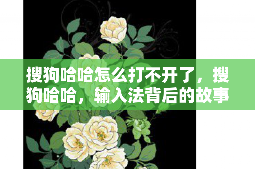 输入法背后的故事与未来展望图片