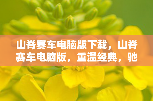 驰骋在数字赛道上的极速体验图片