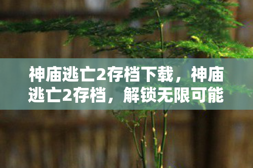 解锁无限可能的冒险之旅图片