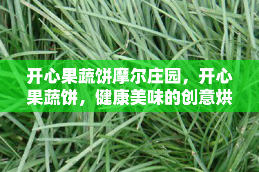 开心果蔬饼摩尔庄园图片