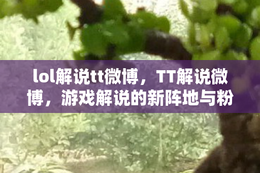 游戏解说的新阵地与粉丝互动的新窗口图片