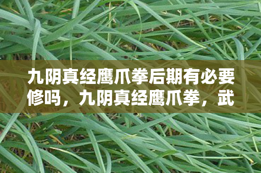 九阴真经鹰爪拳后期有必要修吗图片