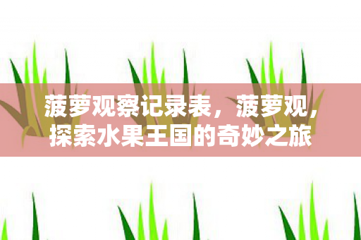 探索水果王国的奇妙之旅图片