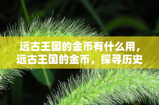 远古王国的金币有什么用图片