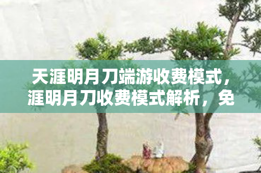 天涯明月刀端游收费模式图片