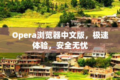 Opera浏览器中文版图片