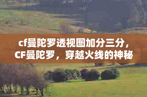 cf曼陀罗透视图加分三分图片