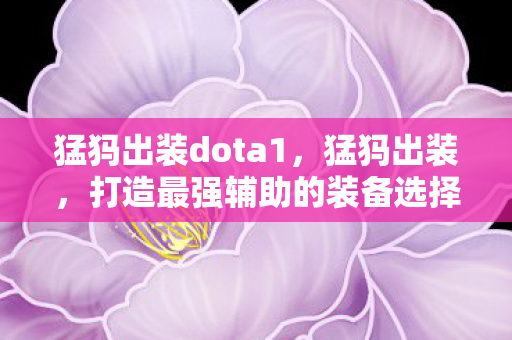 打造最强辅助的装备选择图片