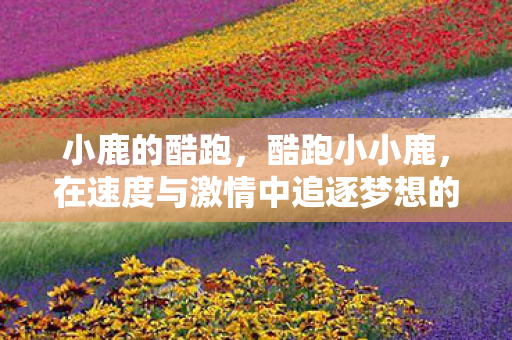 在速度与激情中追逐梦想的旅程图片