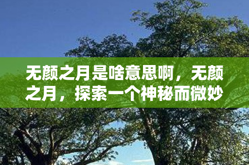 探索一个神秘而微妙的词汇图片