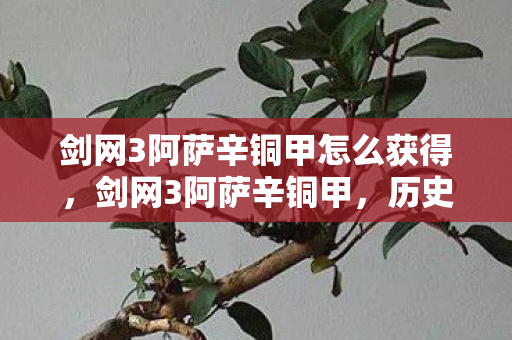 剑网3阿萨辛铜甲怎么获得图片