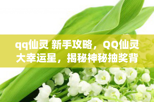 qq仙灵 新手攻略，QQ仙灵大幸运星，揭秘神秘抽奖背后的故事