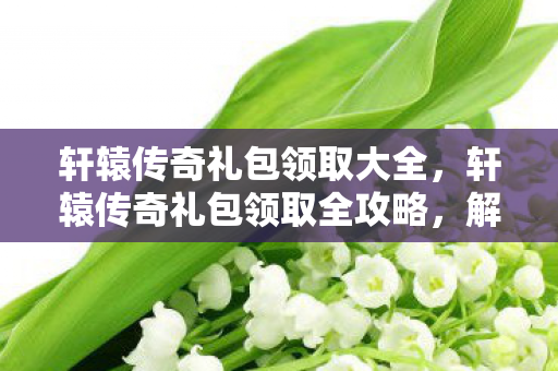 轩辕传奇礼包领取全攻略图片