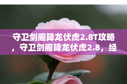 守卫剑阁降龙伏虎2图片