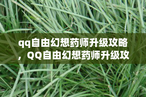 qq自由幻想药师升级攻略图片