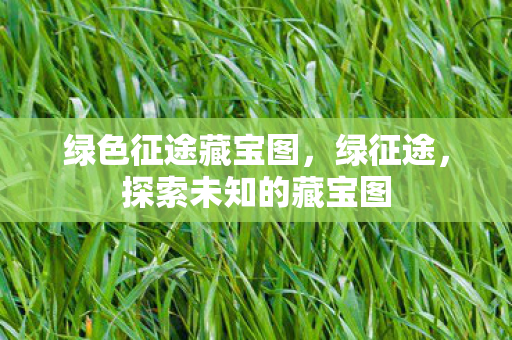 探索未知的藏宝图图片