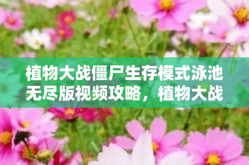 植物大战僵尸生存模式泳池无尽版视频攻略图片