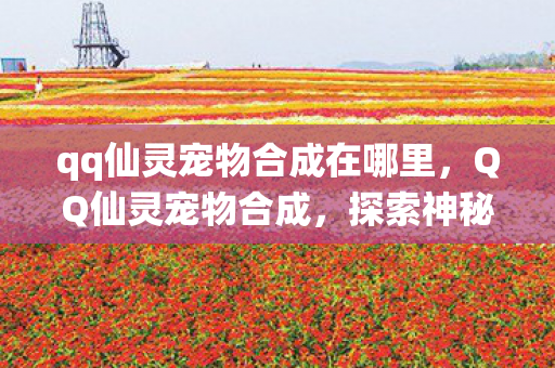 qq仙灵宠物合成在哪里，QQ仙灵宠物合成，探索神秘合成之旅