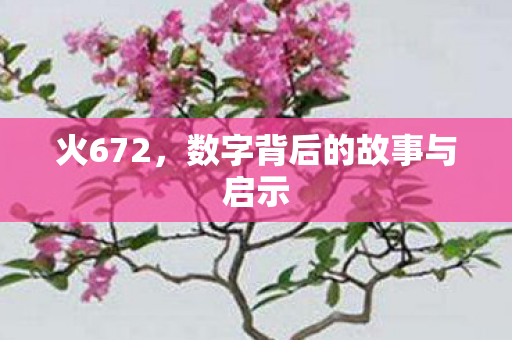 数字背后的故事与启示图片