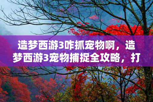 造梦西游3宠物捕捉全攻略图片