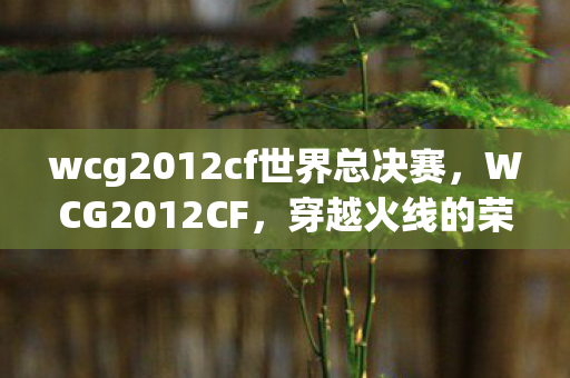 wcg2012cf世界总决赛图片