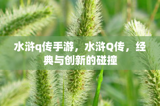 经典与创新的碰撞图片