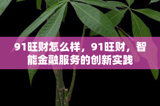 智能金融服务的创新实践图片