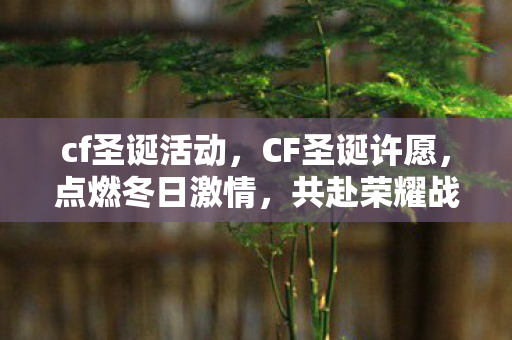 cf圣诞活动图片