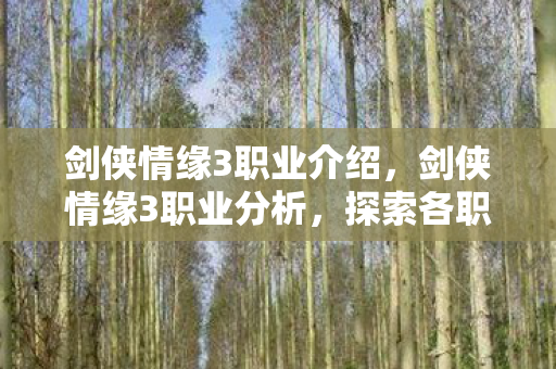 探索各职业的独特魅力与战斗风格图片