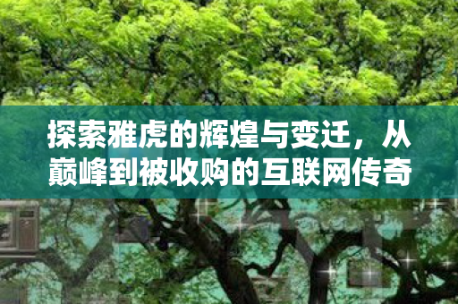 从巅峰到被收购的互联网传奇图片