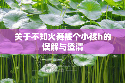 关于不知火舞被个小孩h的误解与澄清图片