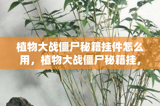 植物大战僵尸秘籍挂件怎么用图片