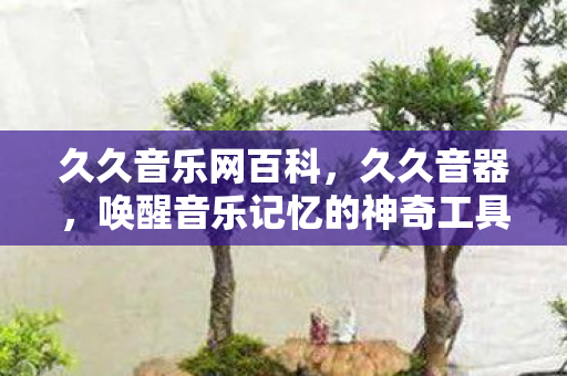 唤醒音乐记忆的神奇工具图片