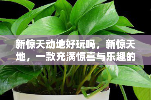 一款充满惊喜与乐趣的游戏图片