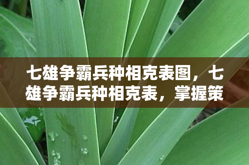 七雄争霸兵种相克表图图片