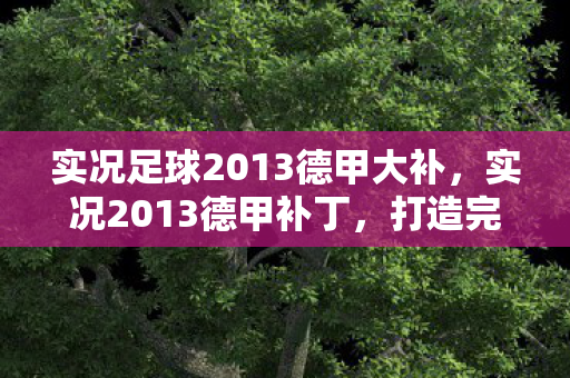 实况足球2013德甲大补图片