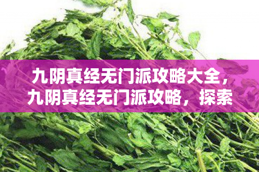 九阴真经无门派攻略大全图片