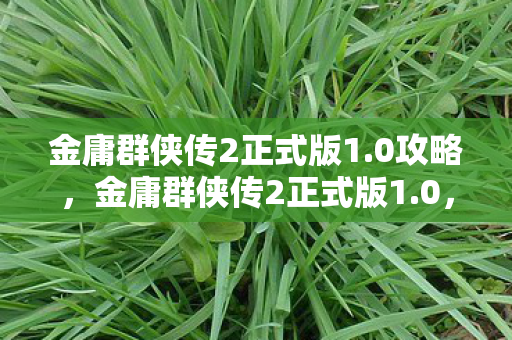 金庸群侠传2正式版1图片