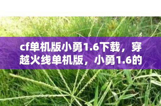 cf单机版小勇1图片