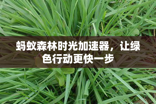 蚂蚁森林时光加速器图片