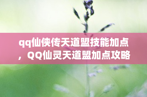 qq仙侠传天道盟技能加点，QQ仙灵天道盟加点攻略详解