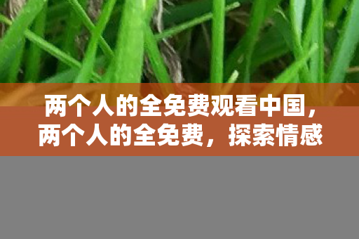 探索情感与经济的平衡之道图片