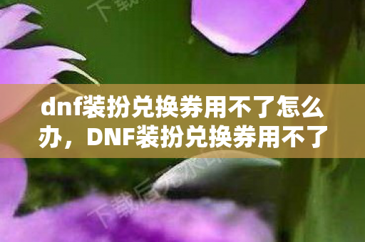 dnf装扮兑换券用不了怎么办图片
